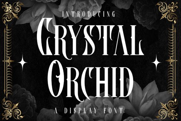 Crystal Orchid Blackletter Font for Handmade Branding