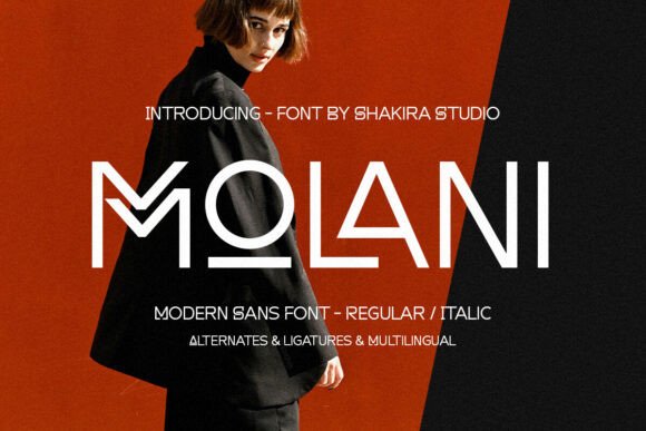 Molani: A Modern Sans Serif Font for Handmade Creators