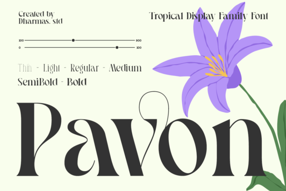 Pavon Serif Font for Elegant Brand Identity Projects